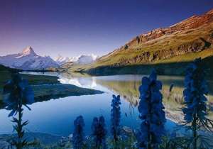 תמונת נוף פנורמית של אגם באזור האלפים הברניים בקיץ