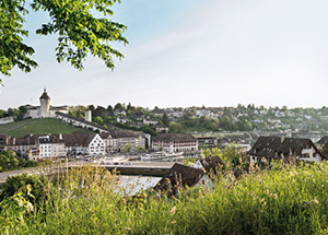 העיירה שפהאוזן על נהר הריין