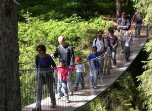 טיול הייקינג עם ילדים על גשר באזור הסליברג